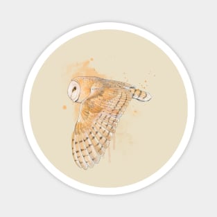 Flying Barn Owl Magnet